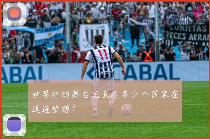 世界杯的舞台究竟有多少个国家在追逐梦想?