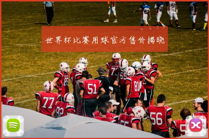 世界杯比赛用球官方售价揭晓
