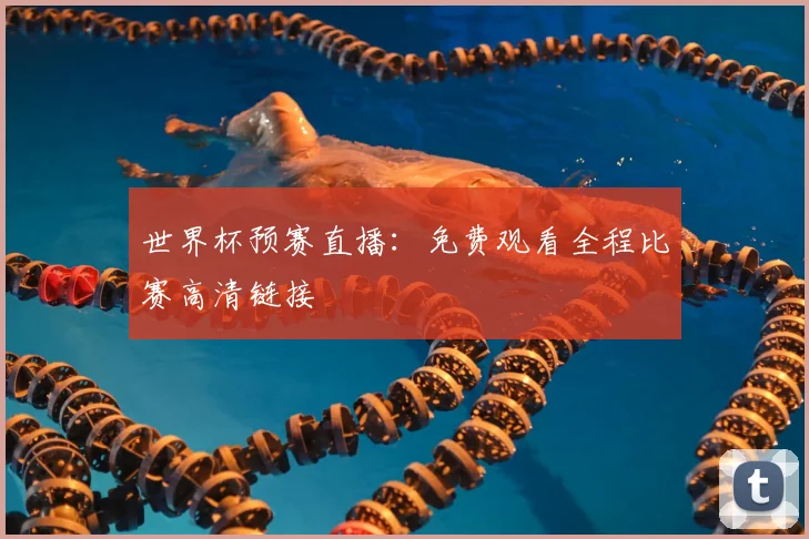 世界杯预赛直播:免费观看全程比赛高清链接